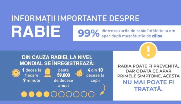 În Republica Moldova, serviciile profilactice și de vaccinare împotriva rabiei sunt gratuite